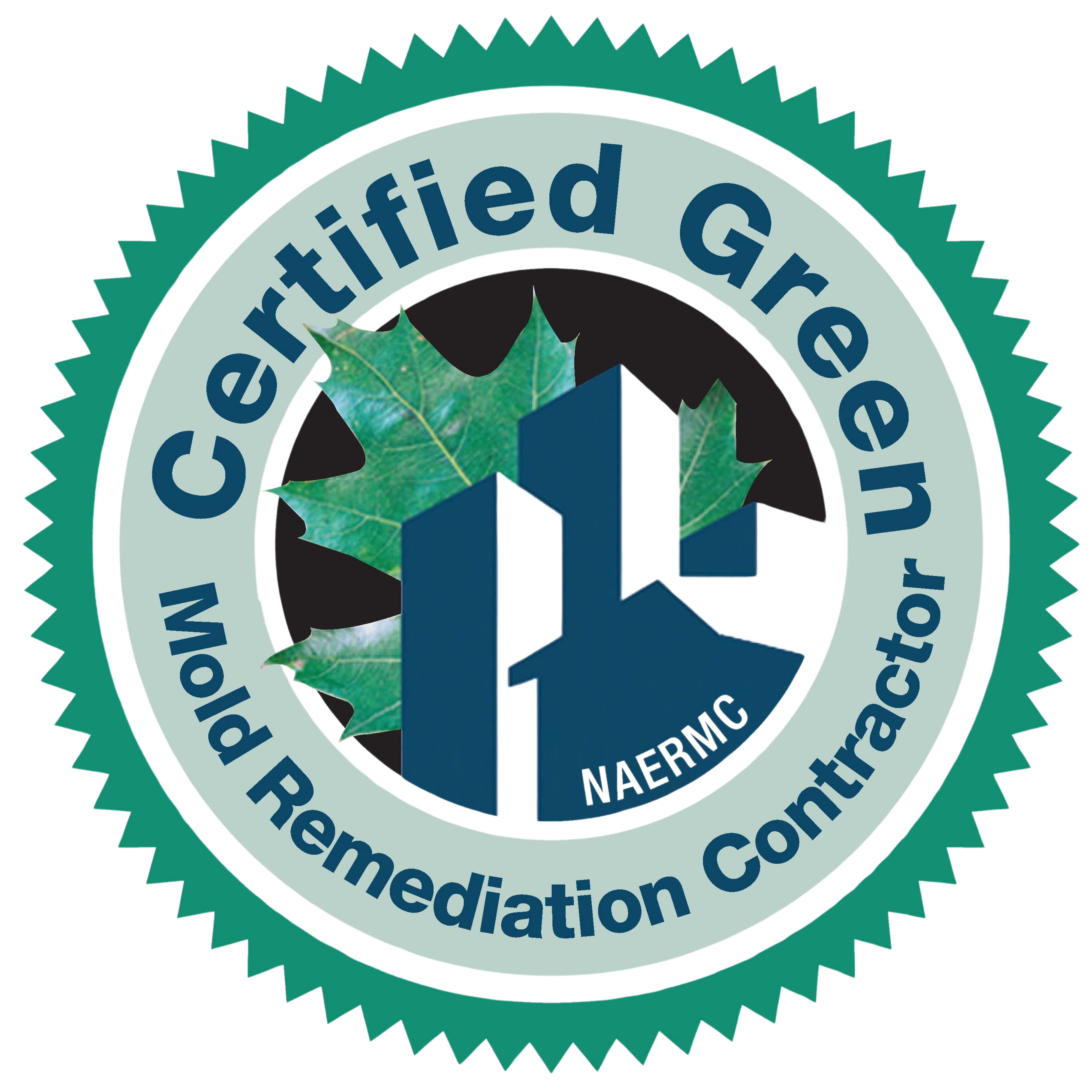 Mold Assessment